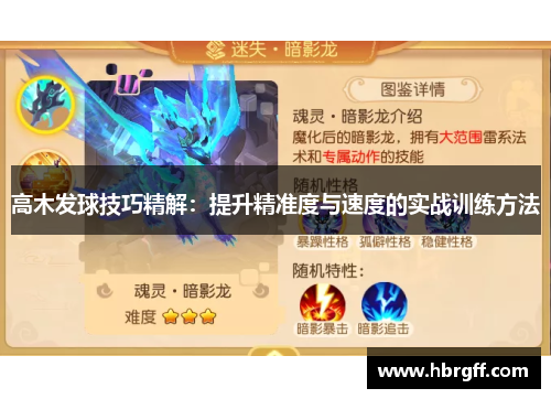 高木发球技巧精解：提升精准度与速度的实战训练方法